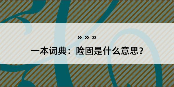 一本词典：险固是什么意思？