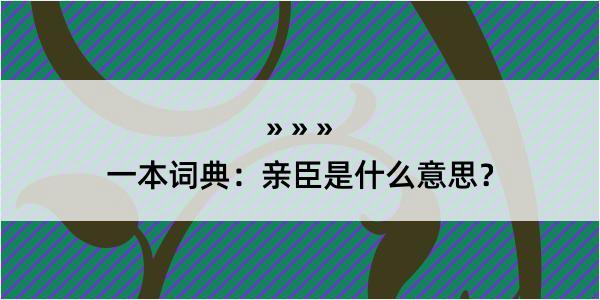 一本词典：亲臣是什么意思？