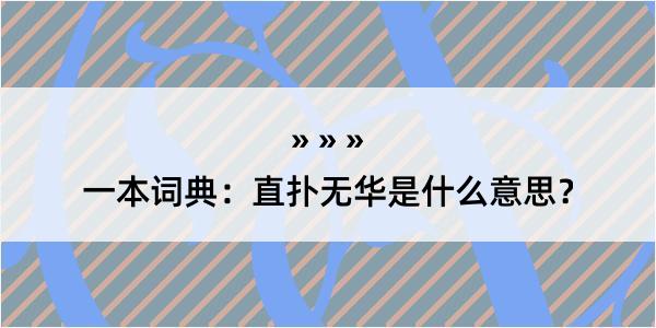 一本词典：直扑无华是什么意思？