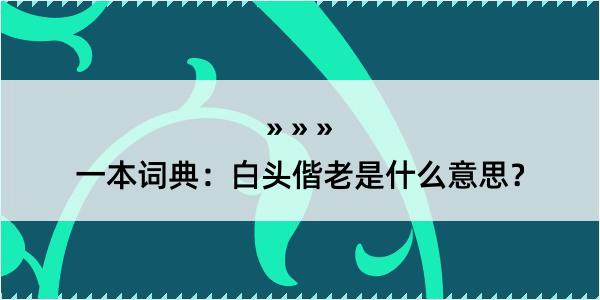 一本词典：白头偕老是什么意思？