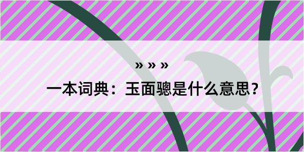 一本词典：玉面骢是什么意思？