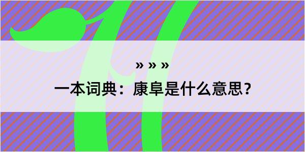 一本词典：康阜是什么意思？