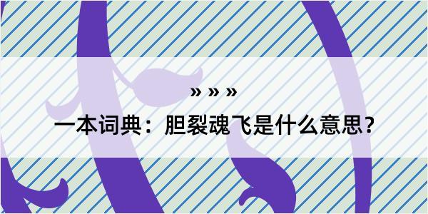 一本词典：胆裂魂飞是什么意思？