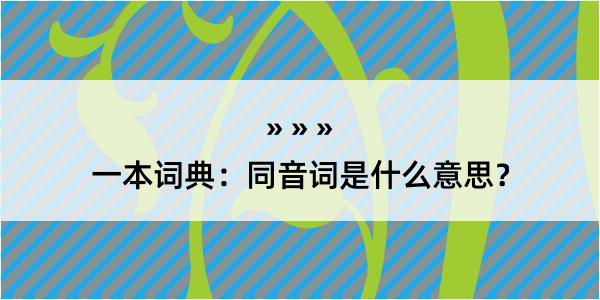 一本词典：同音词是什么意思？