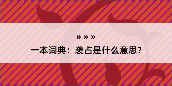 一本词典：袭占是什么意思？