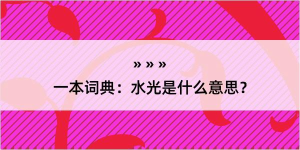 一本词典：水光是什么意思？