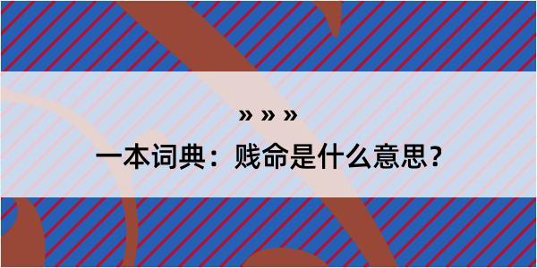 一本词典：贱命是什么意思？