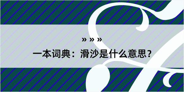 一本词典：滑沙是什么意思？