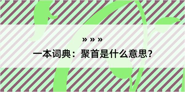 一本词典：聚首是什么意思？