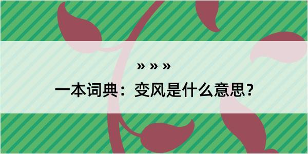 一本词典：变风是什么意思？