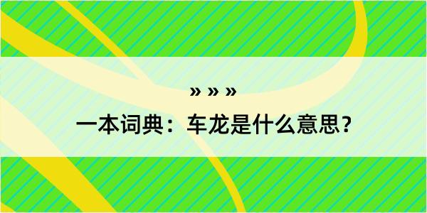 一本词典：车龙是什么意思？