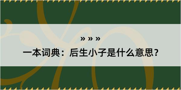 一本词典：后生小子是什么意思？