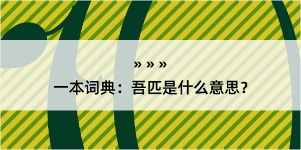 一本词典：吾匹是什么意思？