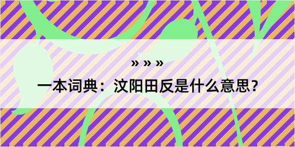 一本词典：汶阳田反是什么意思？