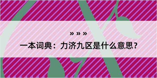 一本词典：力济九区是什么意思？