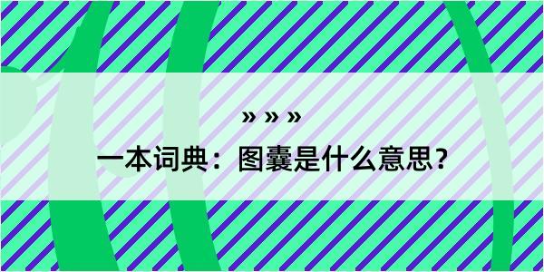 一本词典：图囊是什么意思？