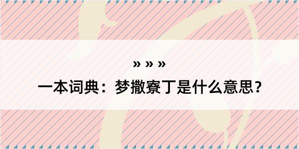 一本词典：梦撒寮丁是什么意思？