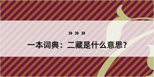 一本词典：二藏是什么意思？