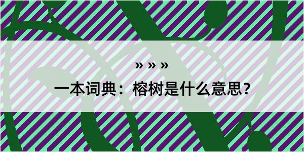 一本词典：榕树是什么意思？