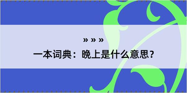 一本词典：晩上是什么意思？