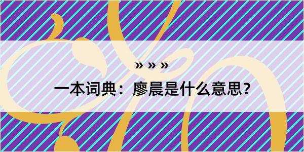 一本词典：廖晨是什么意思？