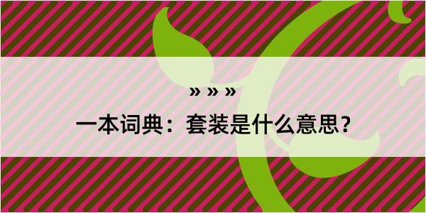 一本词典：套装是什么意思？