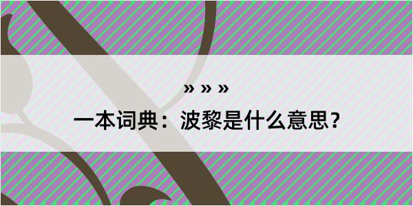 一本词典：波黎是什么意思？