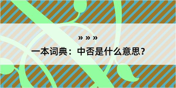 一本词典：中否是什么意思？