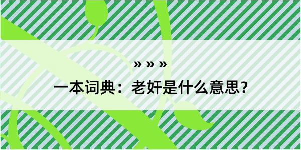 一本词典：老奸是什么意思？