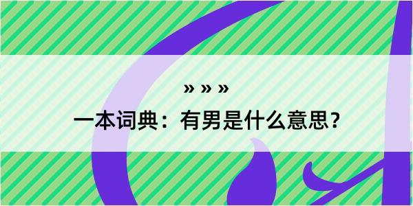 一本词典：有男是什么意思？