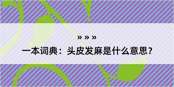 一本词典：头皮发麻是什么意思？