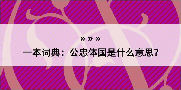 一本词典：公忠体国是什么意思？