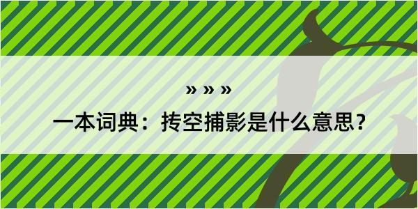 一本词典：抟空捕影是什么意思？