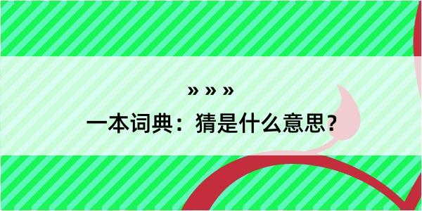 一本词典：猜是什么意思？