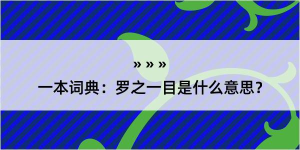 一本词典：罗之一目是什么意思？