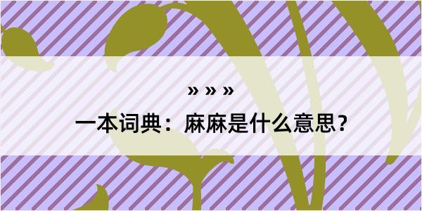 一本词典：麻麻是什么意思？