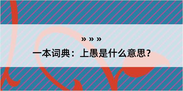 一本词典：上愚是什么意思？