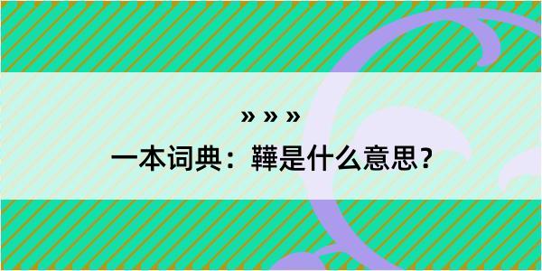 一本词典：鞾是什么意思？