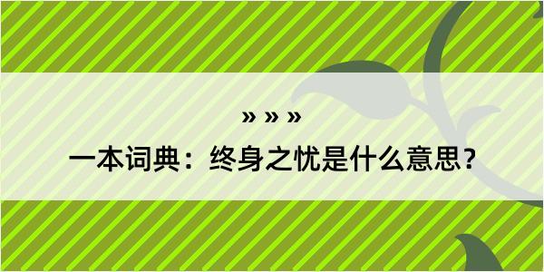 一本词典：终身之忧是什么意思？