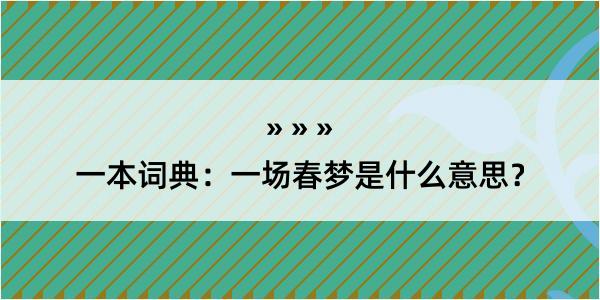 一本词典：一场春梦是什么意思？