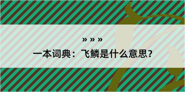 一本词典：飞鳞是什么意思？