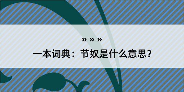 一本词典：节奴是什么意思？