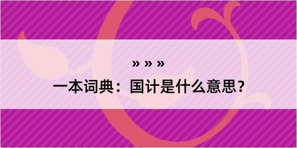 一本词典：国计是什么意思？