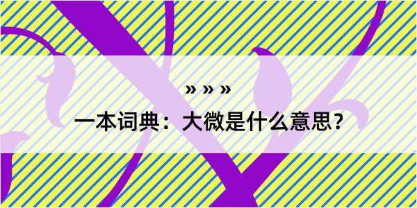 一本词典：大微是什么意思？