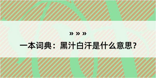 一本词典：黑汁白汗是什么意思？