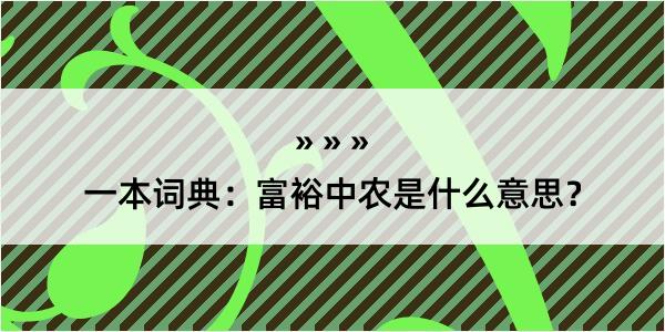 一本词典：富裕中农是什么意思？