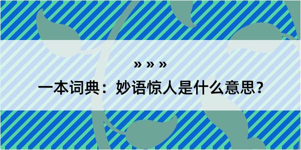 一本词典：妙语惊人是什么意思？