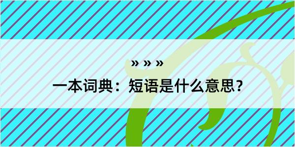 一本词典：短语是什么意思？