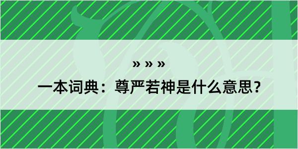 一本词典：尊严若神是什么意思？