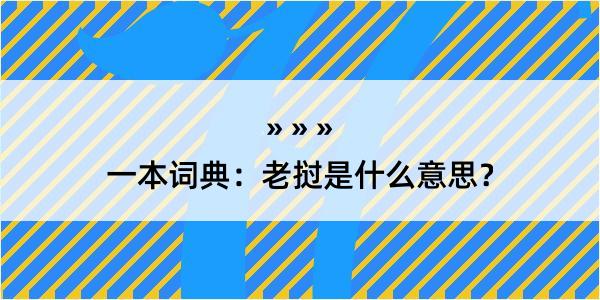 一本词典：老挝是什么意思？